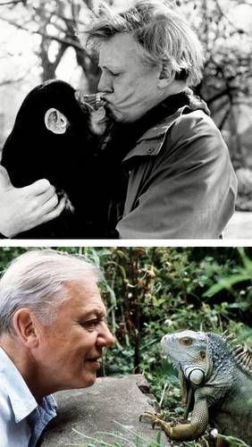 David-Attenborough-cumple-100-anos