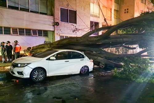 Benito-Juarez-arbol-cae-sobre-dos-autos-durante-lluvia-brigadas-municipales-retiran-los-restos