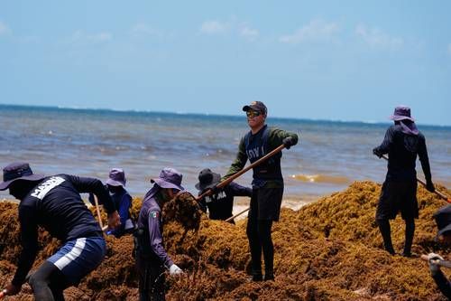 Federacion-destinara-2-mil-millones-de-pesos-para-combatir-el-sargazo-en-Quintana-Roo