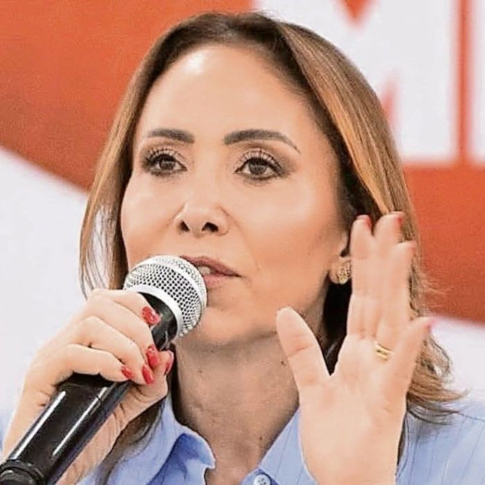 PRI-del-Estado-de-Mexico-activa-la-red-Defensores-del-Estado-de-Mexico-y-registra-a-mas-de-1400-militantes