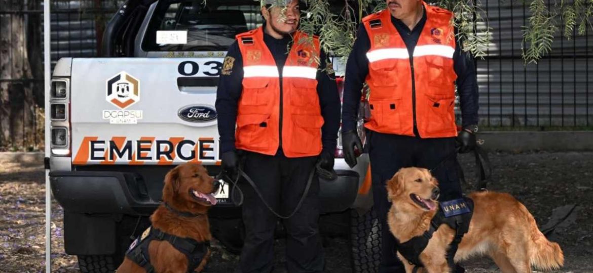 UNAM-incorpora-dos-caninos-detectores-de-armas-y-explosivos-Cuauhtli-y-Balam