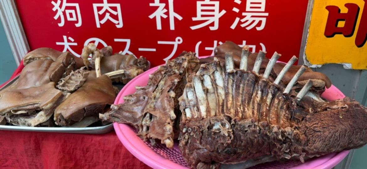 Corea-del-Sur-vive-el-ultimo-verano-de-la-sopa-de-carne-de-perro-antes-de-la-prohibicion-de-2027