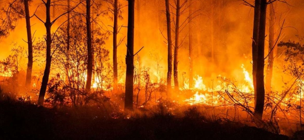 Detienen-a-hombre-acusado-de-iniciar-uno-de-los-mayores-incendios-en-Washington