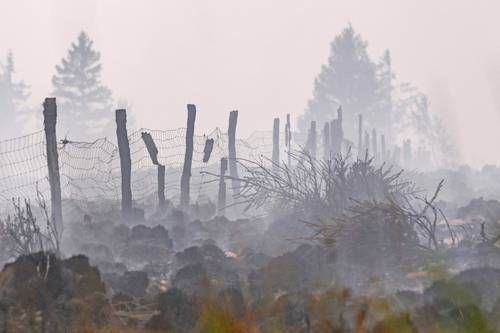 Incendios-forestales-evidencian-el-verano-extremo-que-atraviesa-Europa