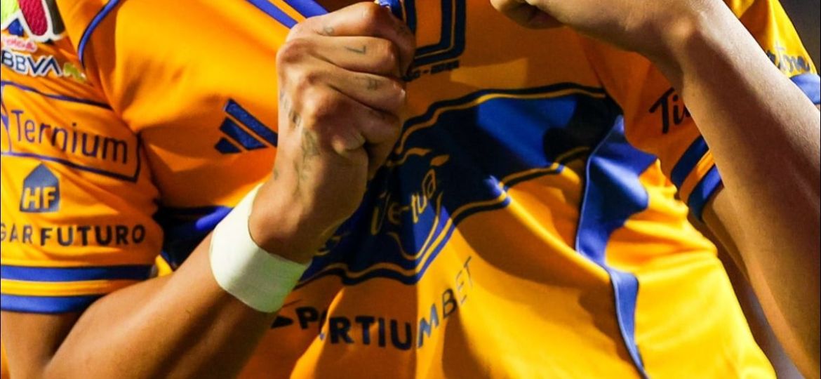 Jorge-Torres-Nilo-afirma-que-quiere-dirigir-a-Tigres-y-devolverlo-a-los-primeros-planos