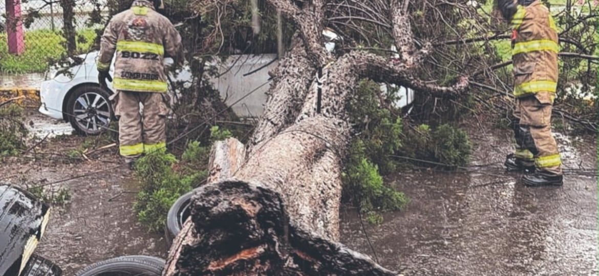 Lluvias-provocan-anegaciones-y-caida-de-arboles-en-municipios-del-Edomex