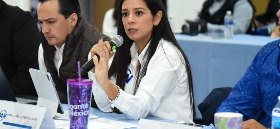 PAN-CDMX-mantiene-asesoria-virtual-para-atender-casos-de-despojo