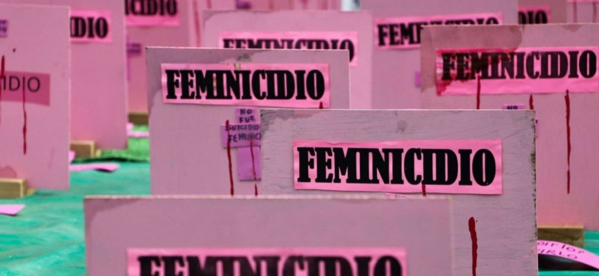 Somos-Mexico-cuestiona-iniciativa-de-Ley-General-en-Materia-de-Feminicidio-por-falta-de-recursos