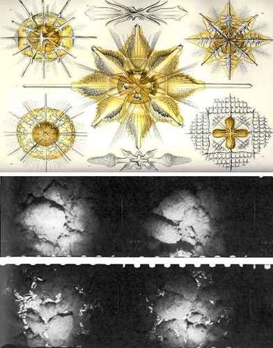 Un-libro-reune-50-imagenes-que-transformaron-la-manera-de-entender-la-ciencia