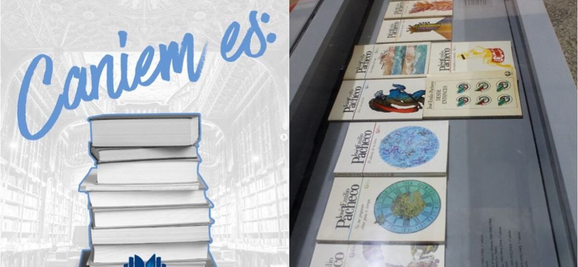 Editores-piden-a-Sheinbaum-plan-para-fortalecer-el-libro-y-la-lectura-en-Mexico